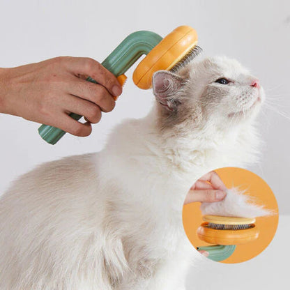 Pet Cleaning Brush